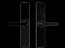 青松沃德-Wi-Fi 指紋鎖家用防盜門智能門鎖密碼鎖刷卡電子鎖 防磁干擾 防撬 L9-WT (不含鎖體，鎖體需另購）